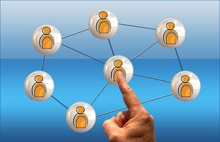 爱游戏下载-体育新闻中心联合高校开展体育传媒创新创业大赛，体育产业创新创业大赛